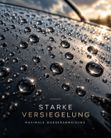 Detroit Graphene Spray Coating 7H 1 Jahr